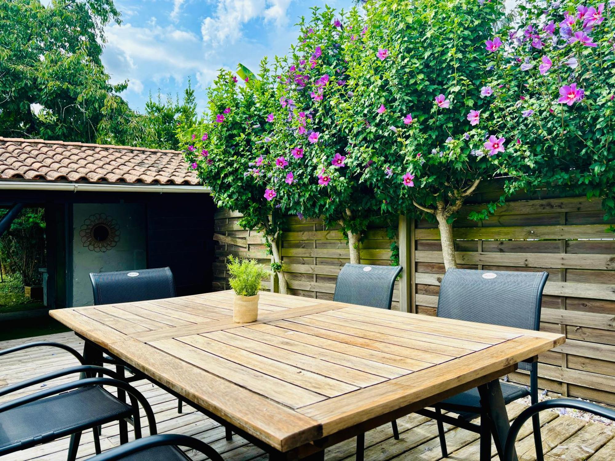 La Maison Du Parc, Charme Et Tranquillite ニオール エクステリア 写真
